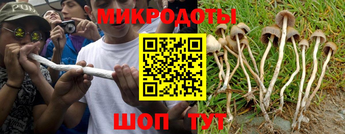 Псилоцибиновые грибы мицелий Балашиха