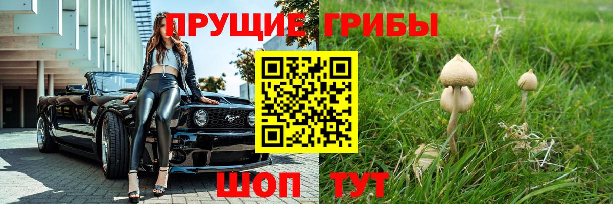 Балашиха  Галлюциногенные грибы мухоморы  Вход с VPN 